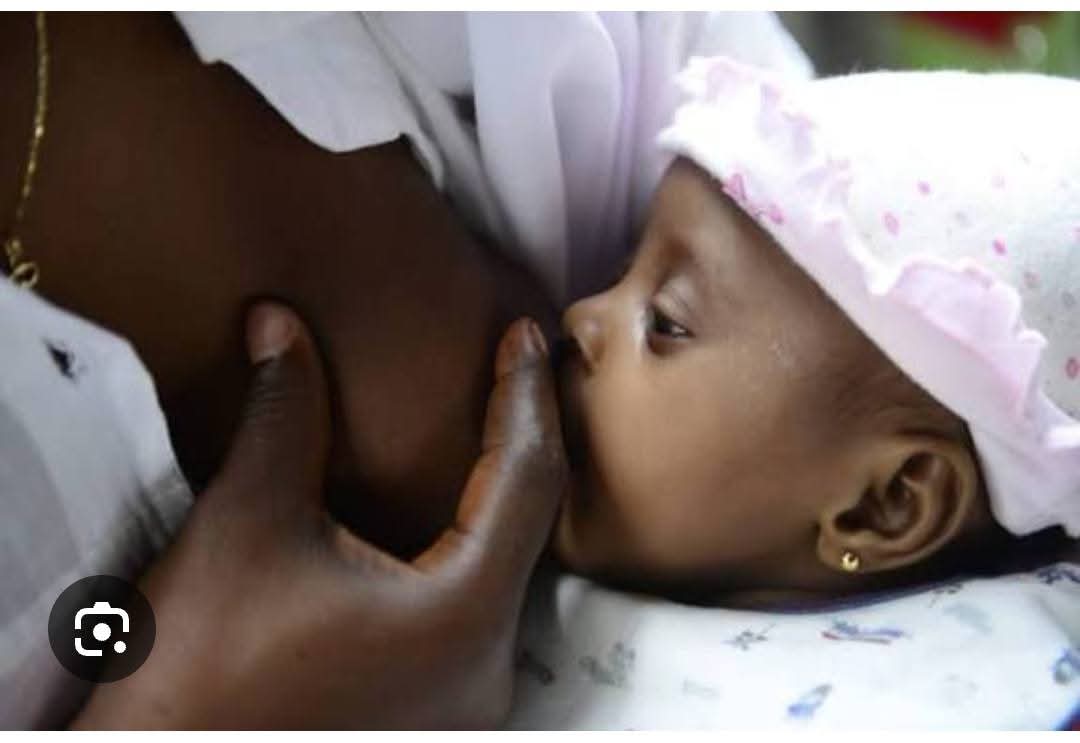 FB_IMG_1764444515229