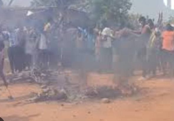 FB_IMG_1770562066018