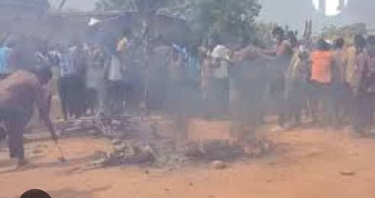 FB_IMG_1770562066018