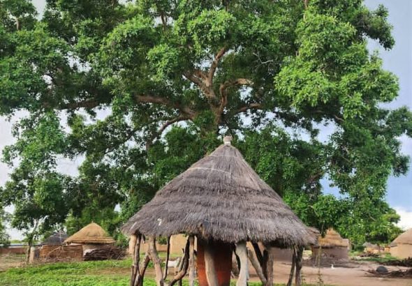 Le grand tambour de Kokaga Sarh
