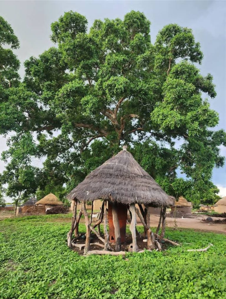 Le grand tambour de Kokaga Sarh