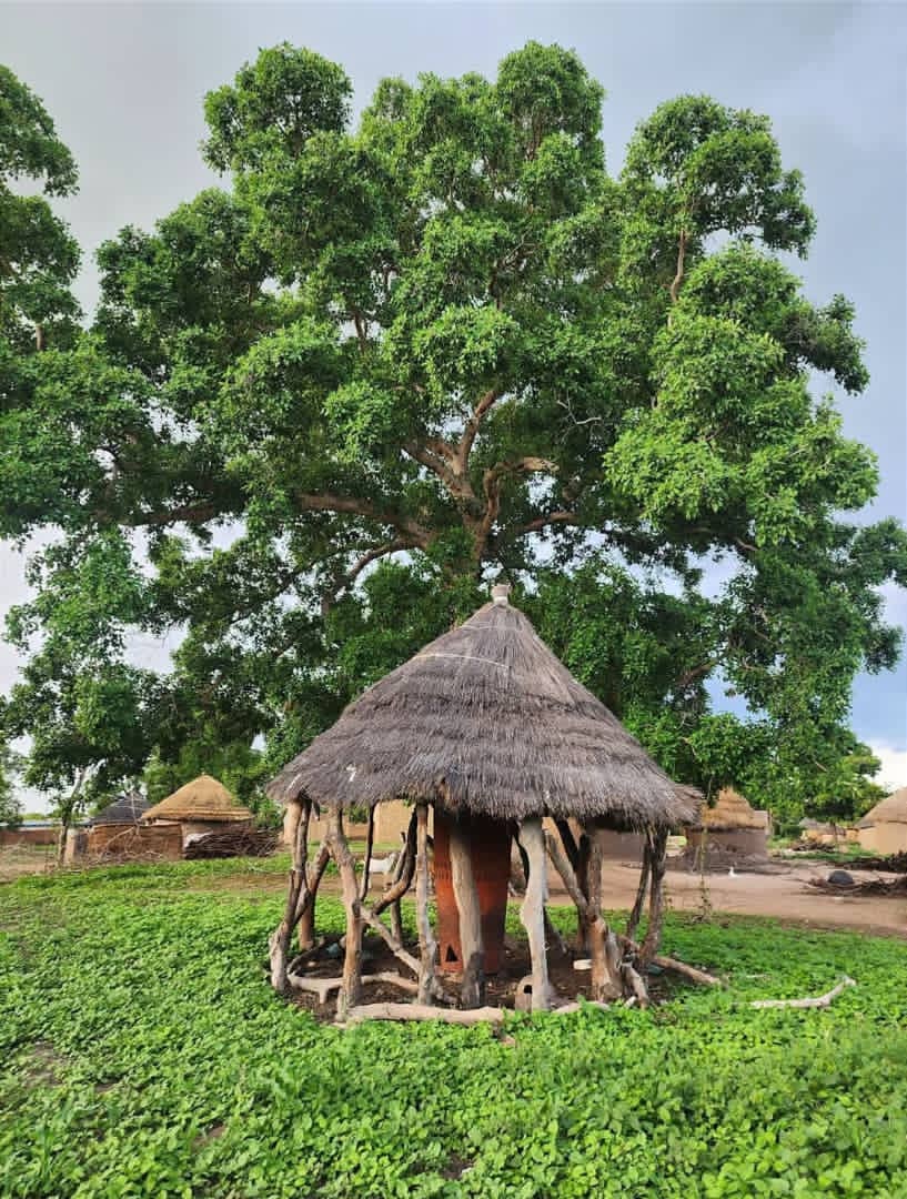 Le grand tambour de Kokaga Sarh