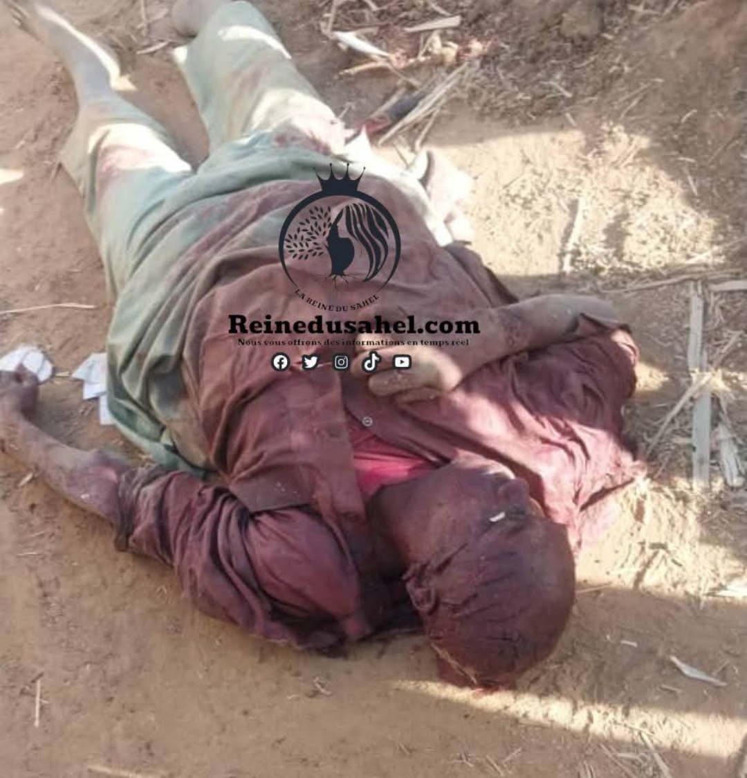 Screenshot_20251217-140548