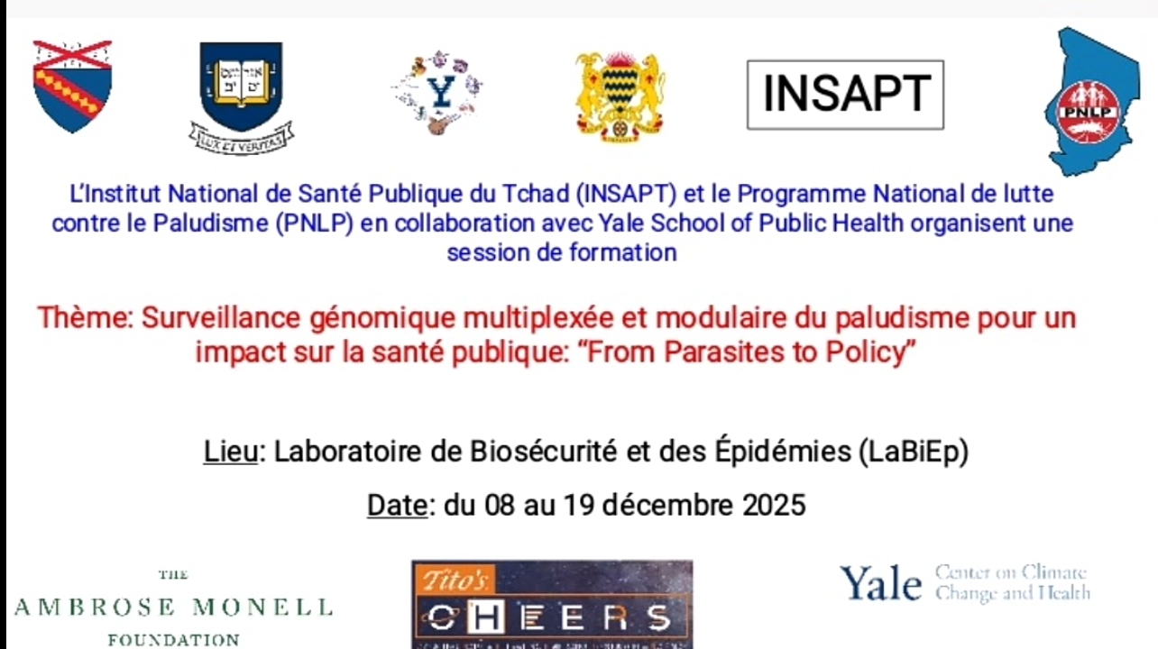 Screenshot_20251219-233836