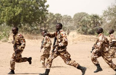 image_0808791_20200404_ob_000bf8_korbol